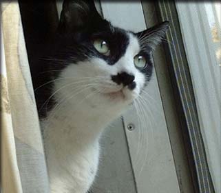 �`���r�̎ʐ^