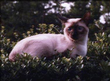 �C�e�B�̎ʐ^